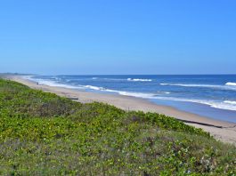 São Francisco do Sul sedia tradicional torneio de pesca do país