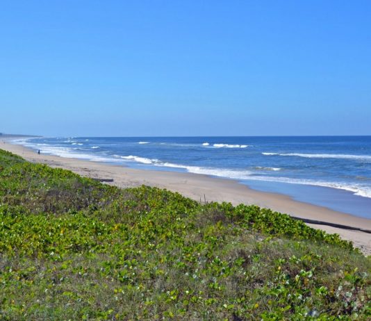 São Francisco do Sul sedia tradicional torneio de pesca do país