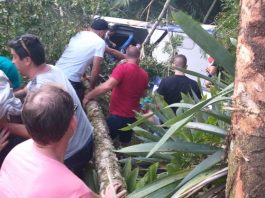 Micro-ônibus cai em ribanceira, em Corupá