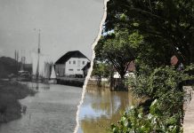 foto antiga de joinville mercado público