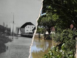 foto antiga de joinville mercado público
