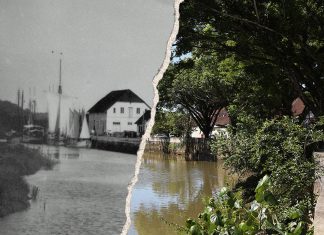 foto antiga de joinville mercado público