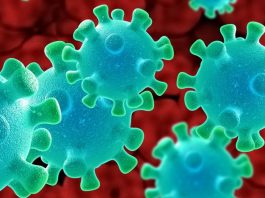 Ministério Público investiga médico de Joinville por propaganda abusiva referente ao coronavírus