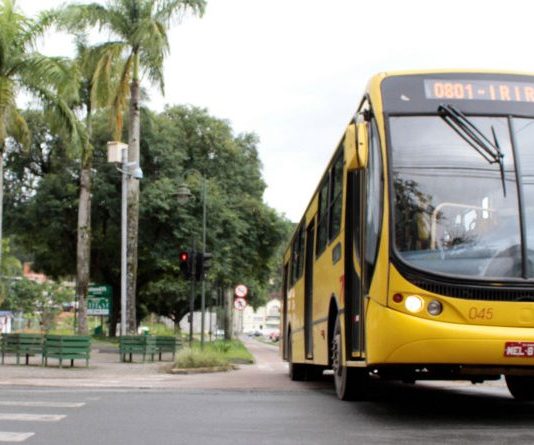 Governo do estado prevê data para retorno do transporte público