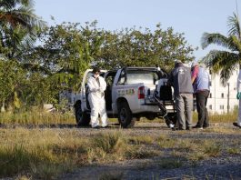 Vigilância Sanitária identifica mais de mil novos focos de dengue, em Joinville