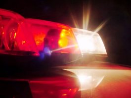 Polícia Civil apreende arma de homem suspeito de violência doméstica, em Joinville