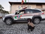 Polícia Militar de São Francisco do Sul adota cão comunitário