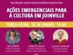 Comitê Popular Solidário realiza transmissão sobre ações emergenciais na cultura em Joinville