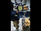 PRF apreende 145 kg de maconha na BR 101, em Joinville