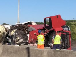 Carreta com carga de frutas tomba na BR-101, em Araquari