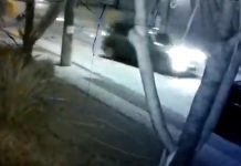 Motorista foge após bater contra motociclista em Joinville