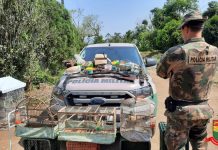 Objetos de caça ilegal são apreendidos pela Polícia Militar Ambiental