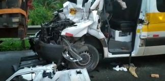 Motorista de van morre em acidente na BR-101, em Pirabeiraba