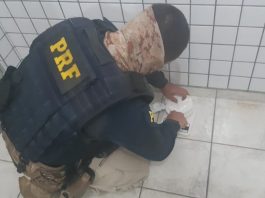 VÍDEO: PRF apreende meio quilo de cocaína escondida em bolsa de bebê na BR-101