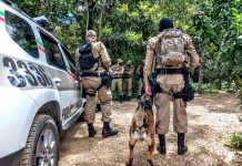 Policiais buscam suspeitos em área de mata, em Guaramirim