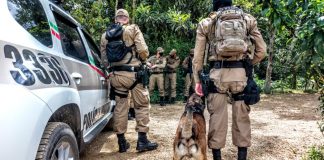 Policiais buscam suspeitos em área de mata, em Guaramirim