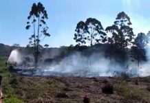 incêndio florestal