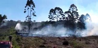 incêndio florestal