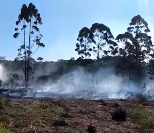 incêndio florestal