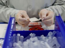 Covid-19: com 32,2 mil casos ativos, Santa Catarina volta a atingir recorde