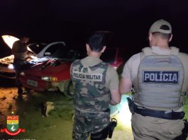 Dois homens são presos por caça e porte ilegal de arma em Guaramirim