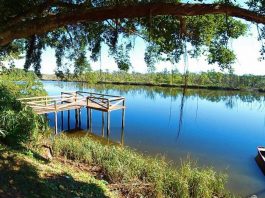 Homem encontrado morto em rio de Araquari é identificado