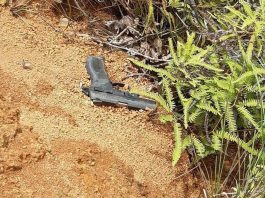 Polícia Civil encontra arma utilizada em feminicídio em Jaraguá do Sul