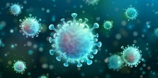 Covid-19: Prefeitura de Joinville confirma mais uma morte