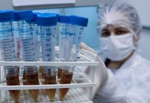 Pesquisa em Santa Catarina avalia mutações do novo coronavírus