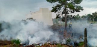 Grande incêndio em São Francisco do Sul