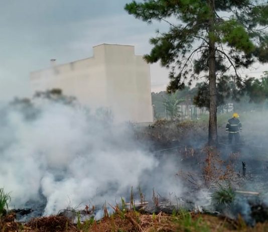 Bombeiros evitam que incêndio em vegetação atinja sobrado em São Francisco do Sul Grande incêndio em São Francisco do Sul