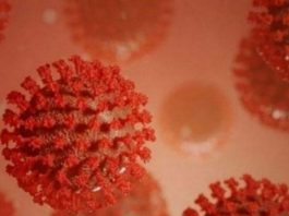 Covid-19: Joinville registra duas mortes e 350 novos casos nesta quinta-feira