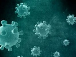 Covid-19: Joinville confirma seis mortes neste sábado