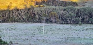 Domingo amanhece com geada na Serra Catarinense