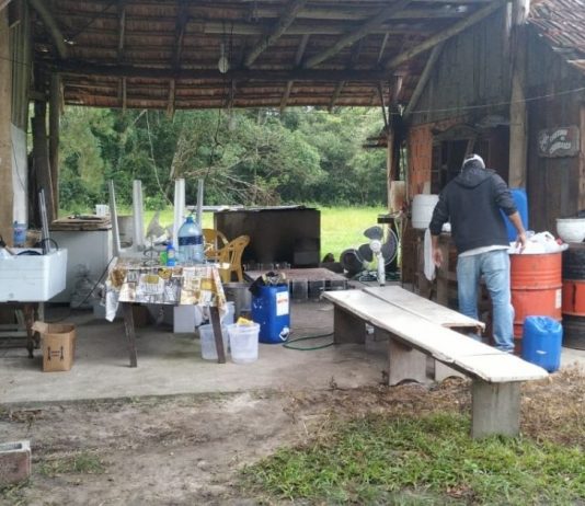 Dois homens são presos em laboratórios clandestinos de drogas em Joinville e São Francisco do Sul