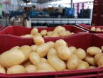Procon registra diferença de até 758% no valor de um mesmo produto da cesta básica em SC