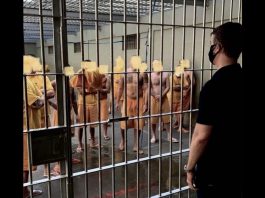 Juiz de Joinville critica Xuxa por sugerir teste de vacinas e remédios em presos