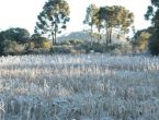 La Niña antecipa chegada do frio em Santa Catarina