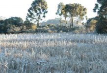 La Niña antecipa chegada do frio em Santa Catarina