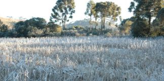 La Niña antecipa chegada do frio em Santa Catarina