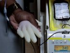 Hemosc está com estoques de sangue em níveis de alerta e necessita de doações