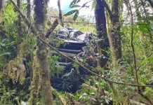 Hospital atualiza estado de saúde da médica que sofreu acidente na BR-470