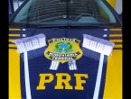 PRF flagra motorista de carreta com mais de 1.500 comprimidos de rebite na BR-280