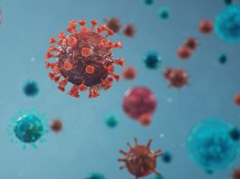 Covid-19: Joinville registra três mortes nesta sexta-feira; leitos públicos de UTI estão 99% ocupados