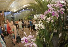 Festa das Flores em Joinville