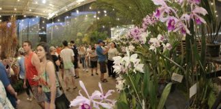 Festa das Flores em Joinville