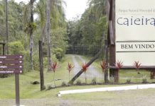 Prefeitura de Joinville abre consulta pública para discutir plano de manejo do Parque da Caieira