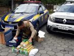 PRF e PM prendem homem que levava cocaína para Joinville