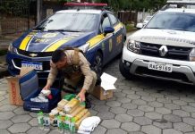 PRF e PM prendem homem que levava cocaína para Joinville