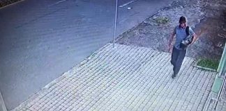 VÍDEO - Homem rouba plantas de vizinhança no bairro Saguaçu em Joinville